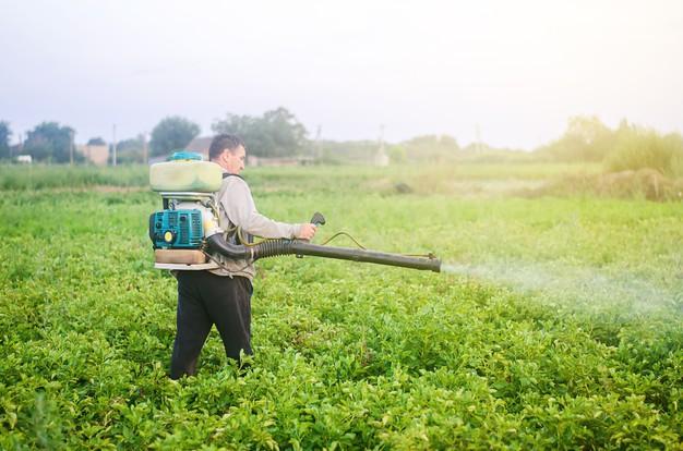 fumigation services
