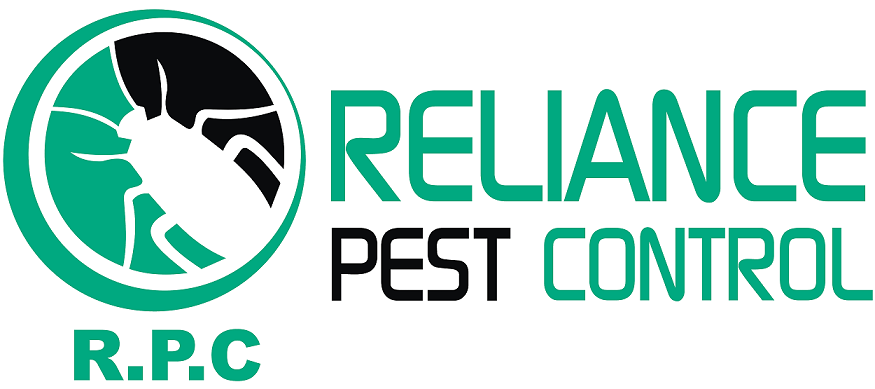 Fumigation in karachi