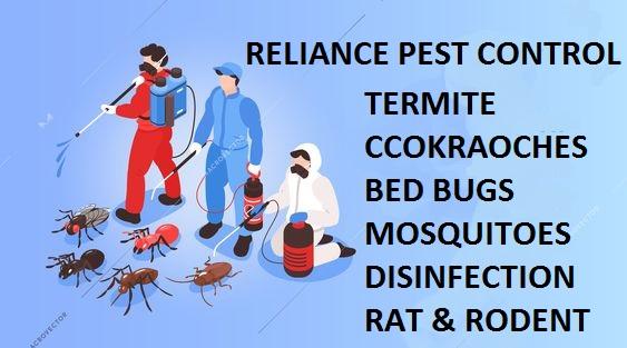 best fumigation services in karachi