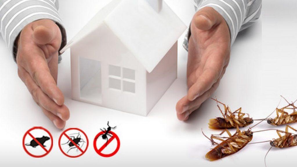 fumigation services in karachi, pest control services in karachi