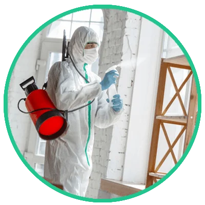 fumigation services in karachi, fumigation in karachi, best fumigation company on karachi
